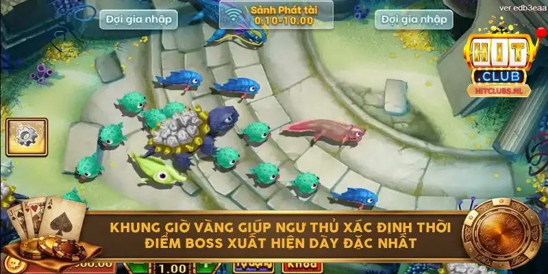 Khung giờ vàng giúp ngư thủ xác định thời điểm Boss xuất hiện dày đặc nhất