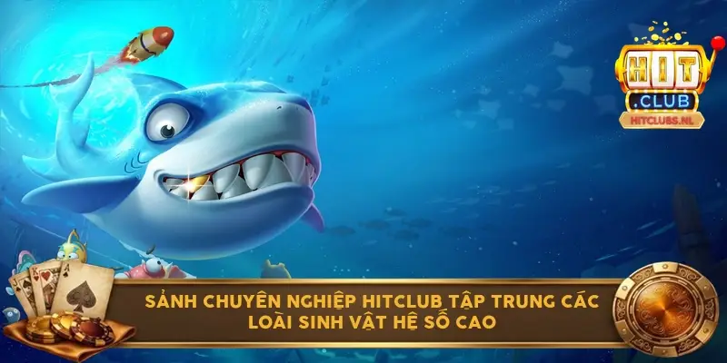 Sảnh chuyên nghiệp Hitclub tập trung các loài sinh vật hệ số cao