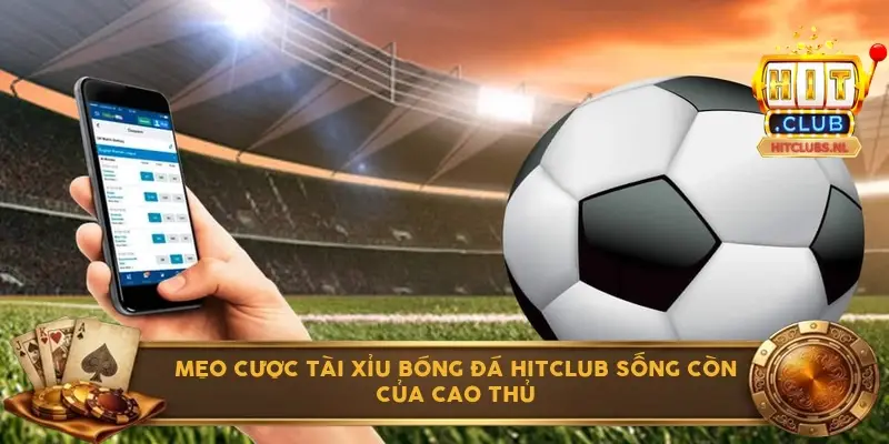 Mẹo cược tài xỉu bóng đá Hitclub sống còn của cao thủ