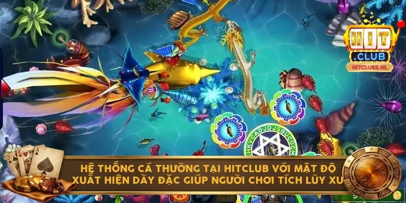 Hệ thống cá thường tại Hitclub với mật độ xuất hiện dày đặc giúp người chơi tích lũy xu