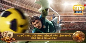 Sơ đồ theo dõi dòng tiền và vào lệnh nhồi kèo rung chuẩn xác